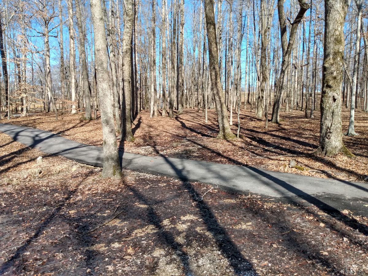 Eubank Park Eubank, KY UDisc Disc Golf Course Directory