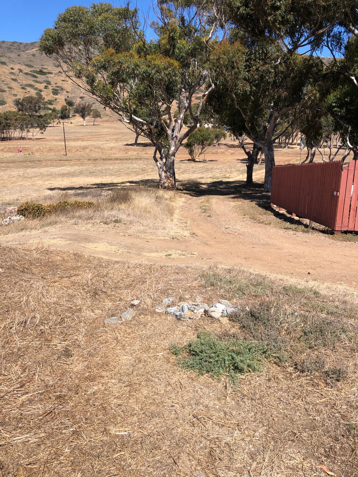 Two Harbors Avalon, CA UDisc Disc Golf Course Directory