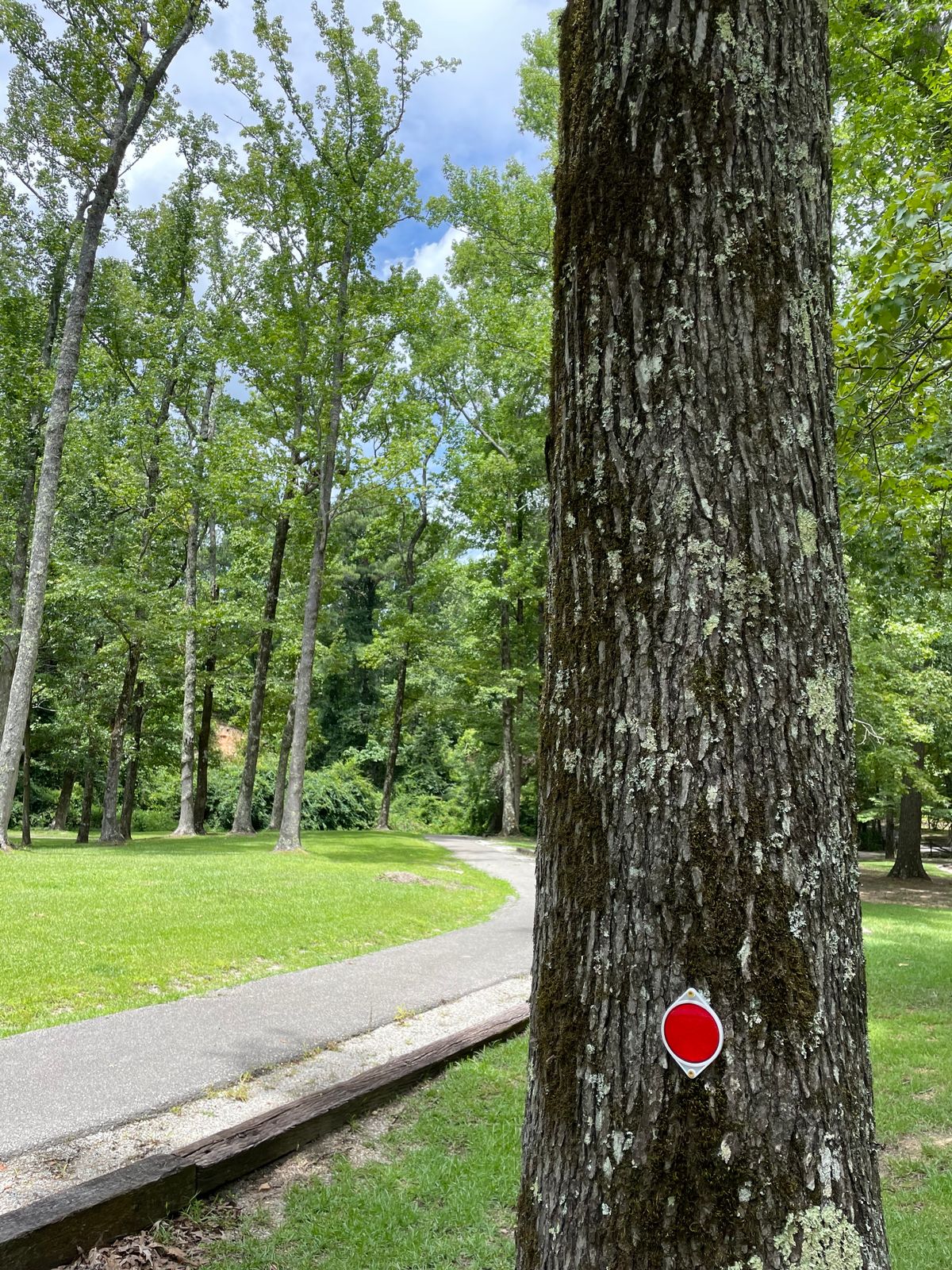 Model City Disc Golf Lagarde Park Anniston, AL UDisc Disc Golf