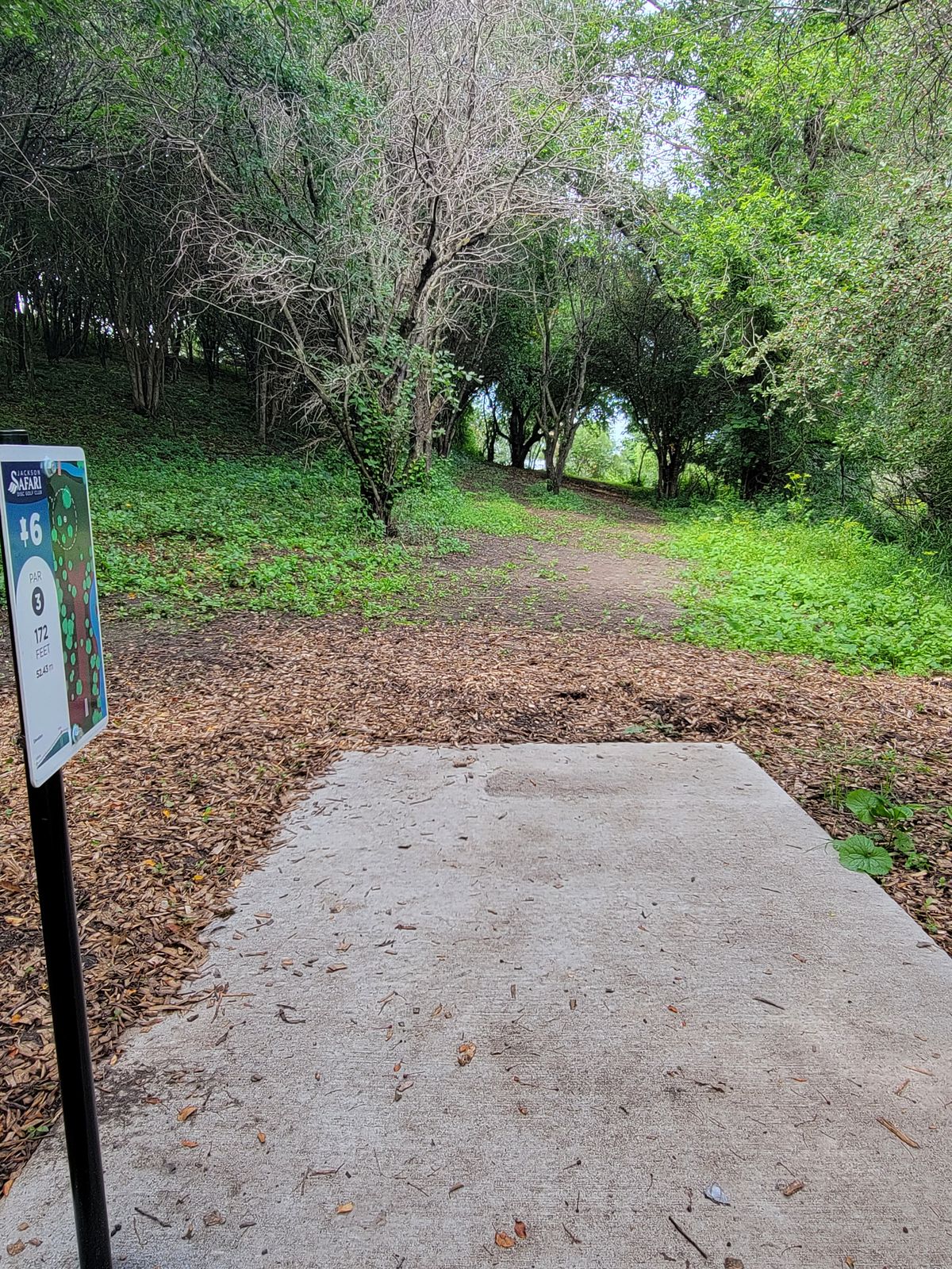 Jackson Safari Disc Golf Club Jackson, MN UDisc Disc Golf Course