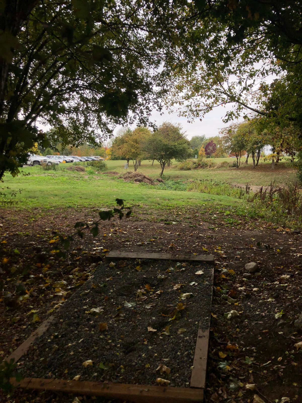 Bellingham Technical College Bellingham, WA UDisc Disc Golf Course