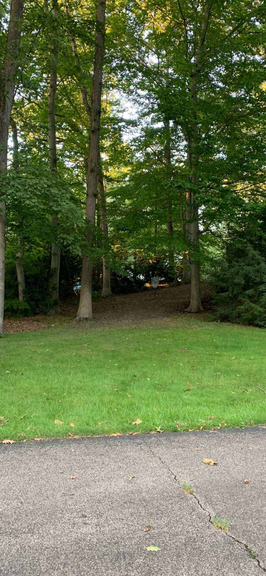 McKnight Disc Golf Course Grove City PA UDisc Disc Golf Course