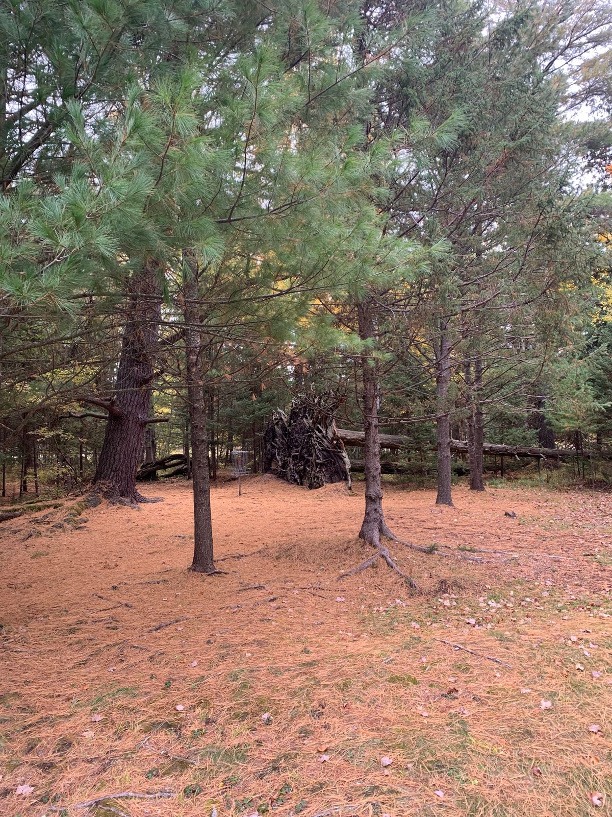 Hanson Hills Pine Knoll Grayling, MI UDisc Disc Golf Course Directory UDisc