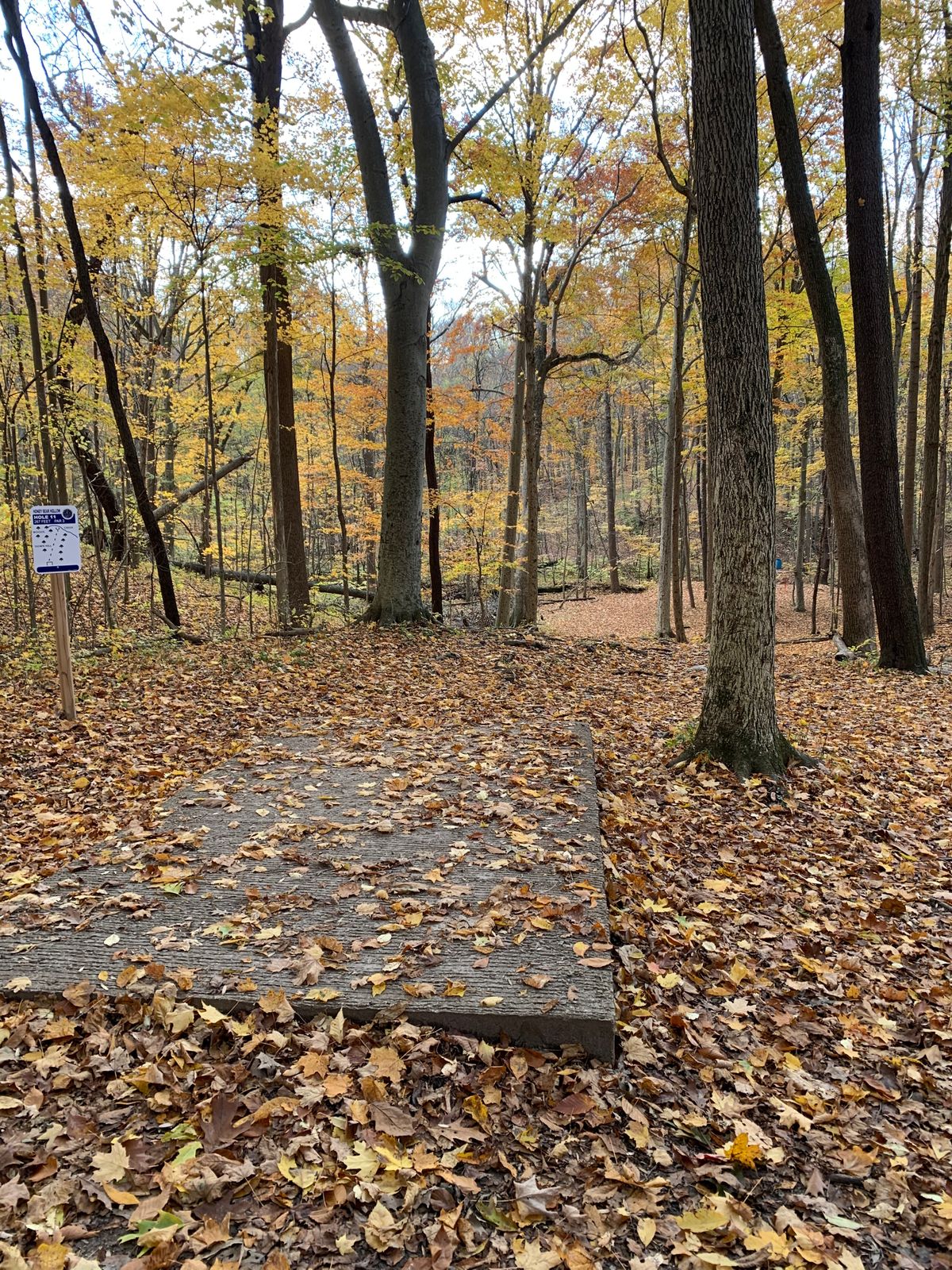 Peru Disc Golf Your Guide to Disc Golf in Peru, Indiana UDisc