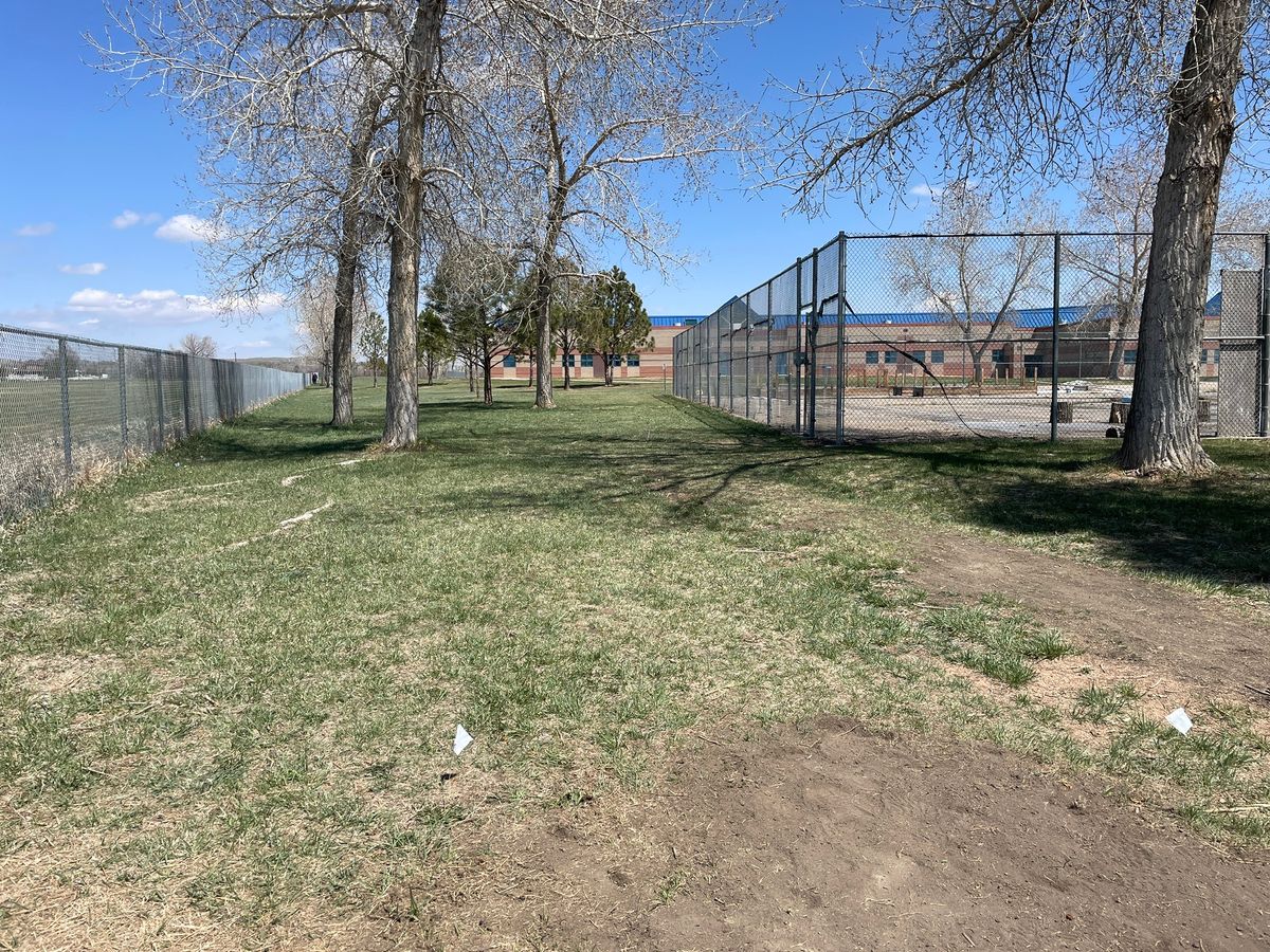 Wildcat Ridge at Westview Middle School Longmont, CO UDisc Disc