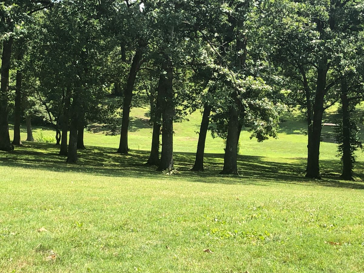 Jokerst Festus, MO UDisc Disc Golf Course Directory UDisc