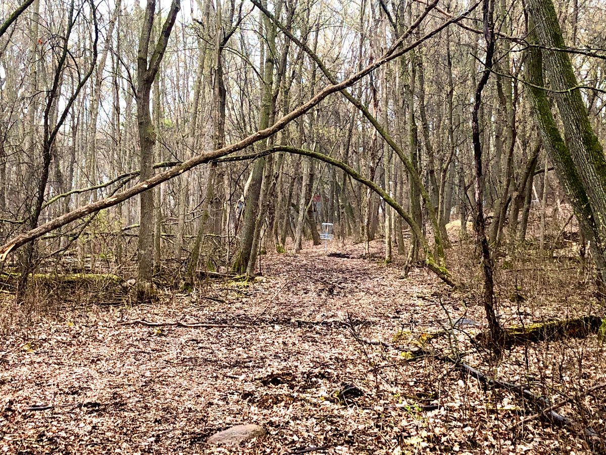 Park Upsala, MN UDisc Disc Golf Course Directory UDisc