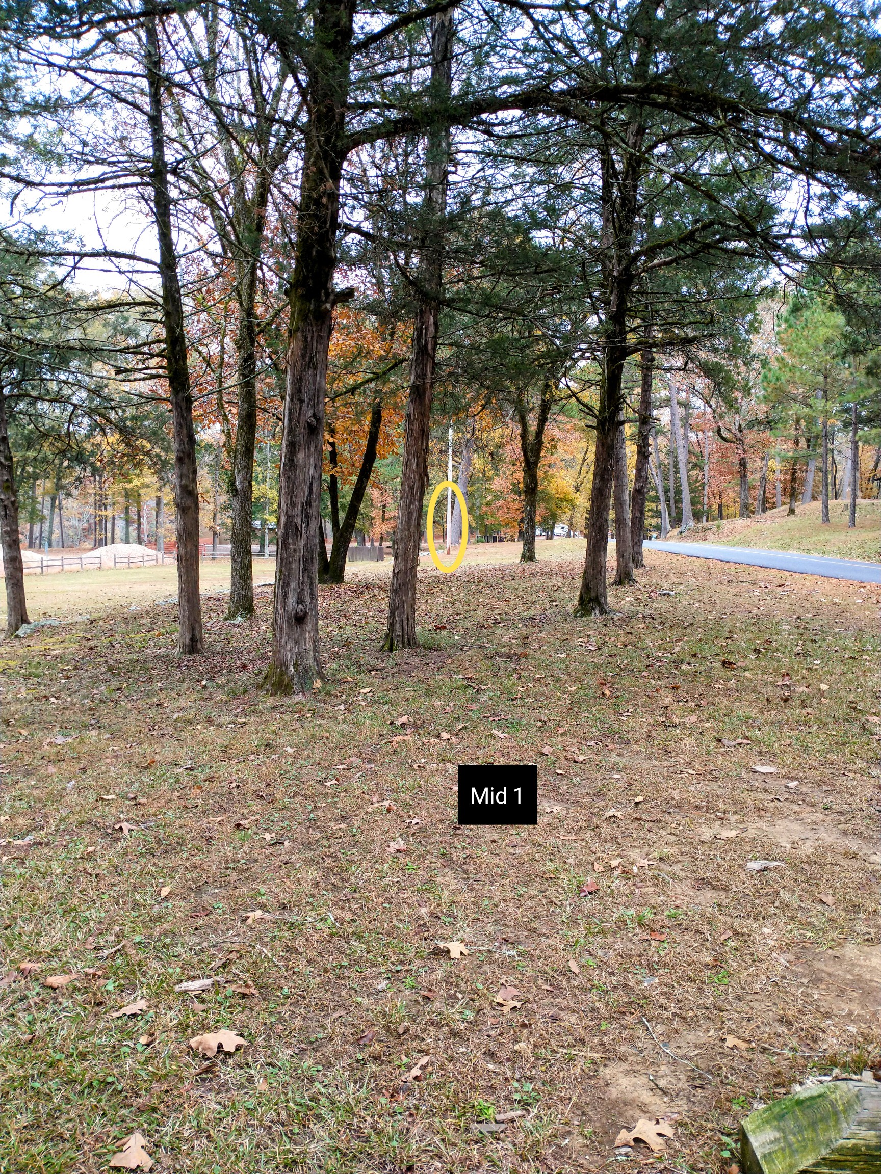 Beavers Bend Tree Love - Broken Bow, Oklahoma | UDisc Disc