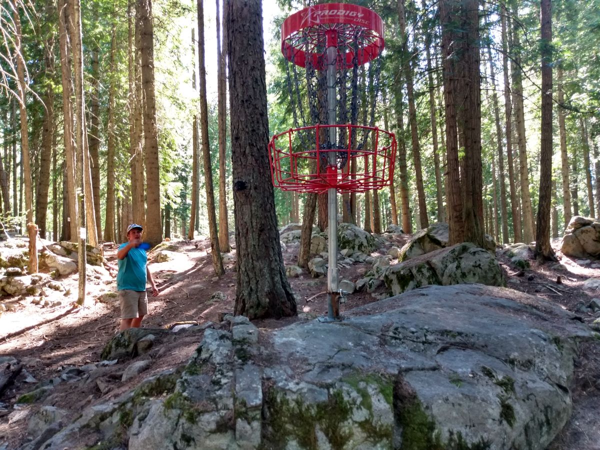 Art Gibbon Park Nelson, BC, Canada UDisc Disc Golf Course Directory