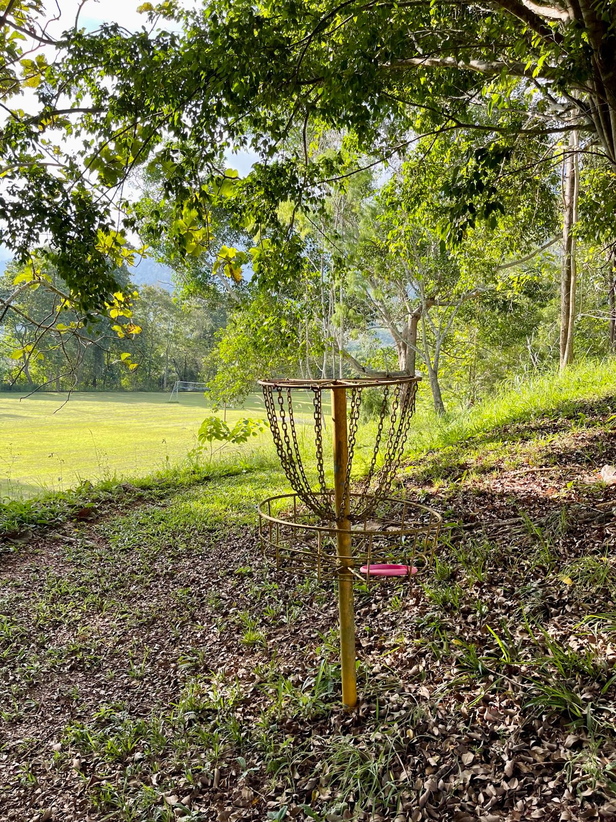 Papua Disc Golf Your Guide to Disc Golf in Papua, Indonesia UDisc