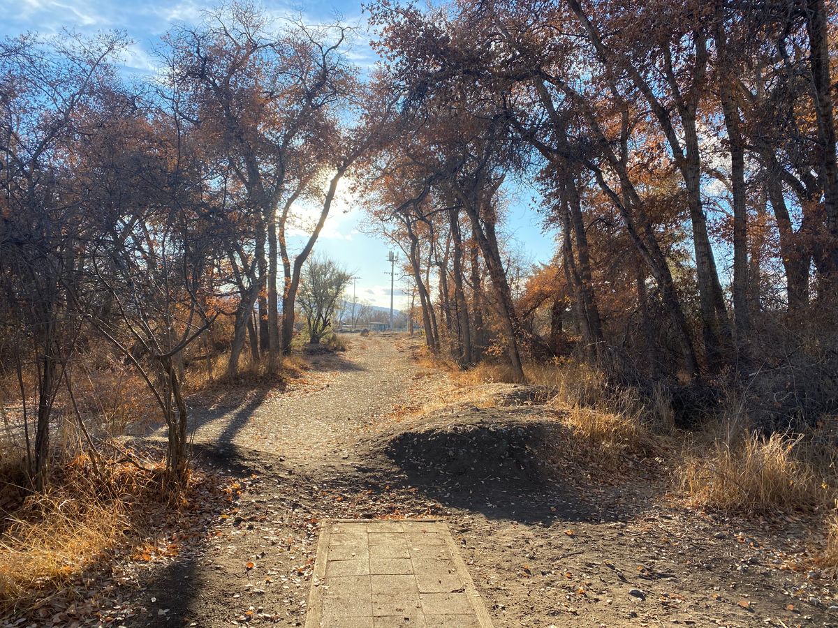 Art Dye Disc Golf Park American Fork, UT UDisc Disc Golf Course