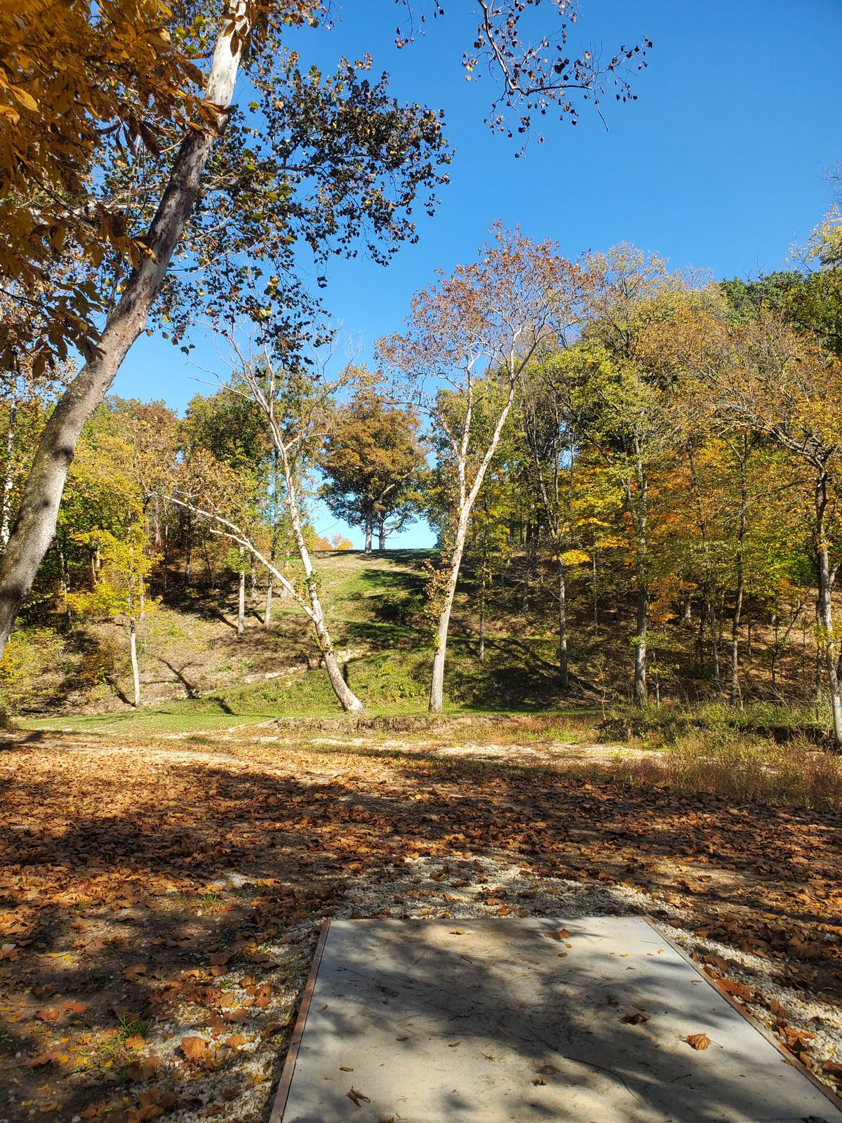 Wild Times at Eagles Crossing Hawk Point, MO UDisc Disc Golf Course