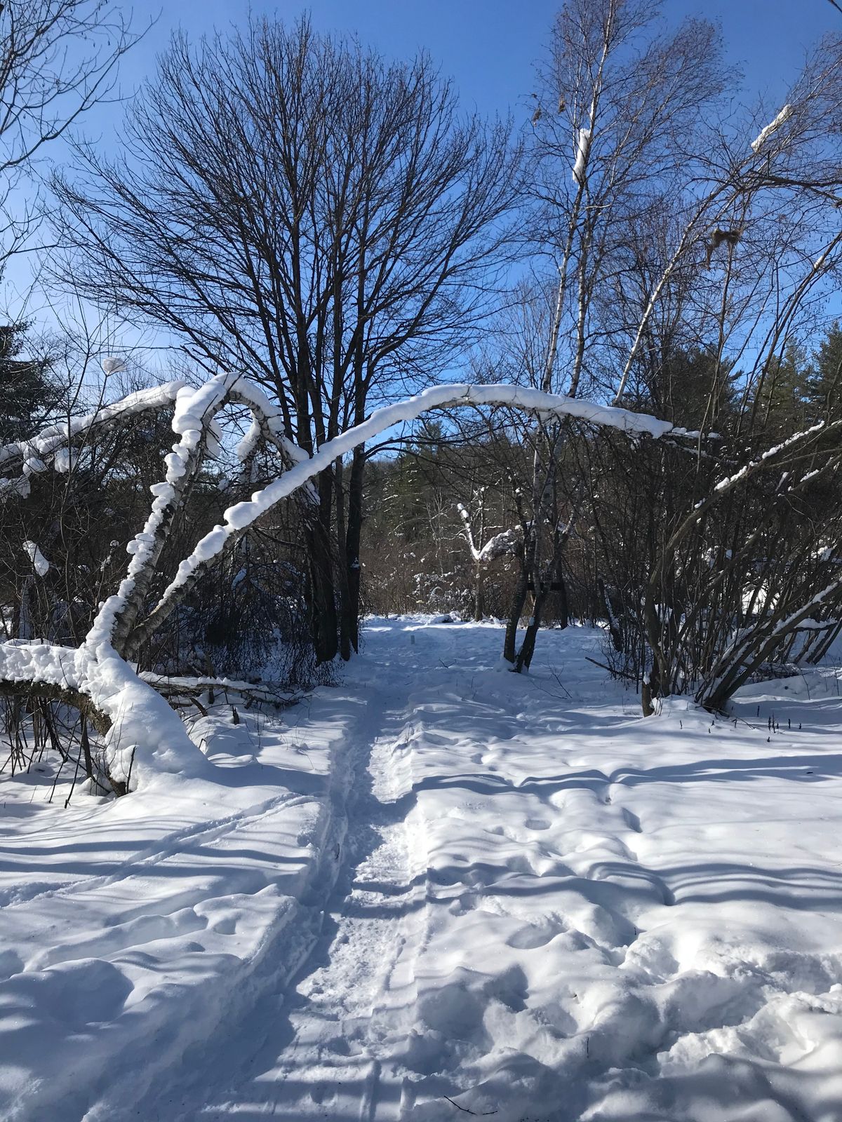 Wrightsville Beach Middlesex, VT UDisc Disc Golf Course Directory