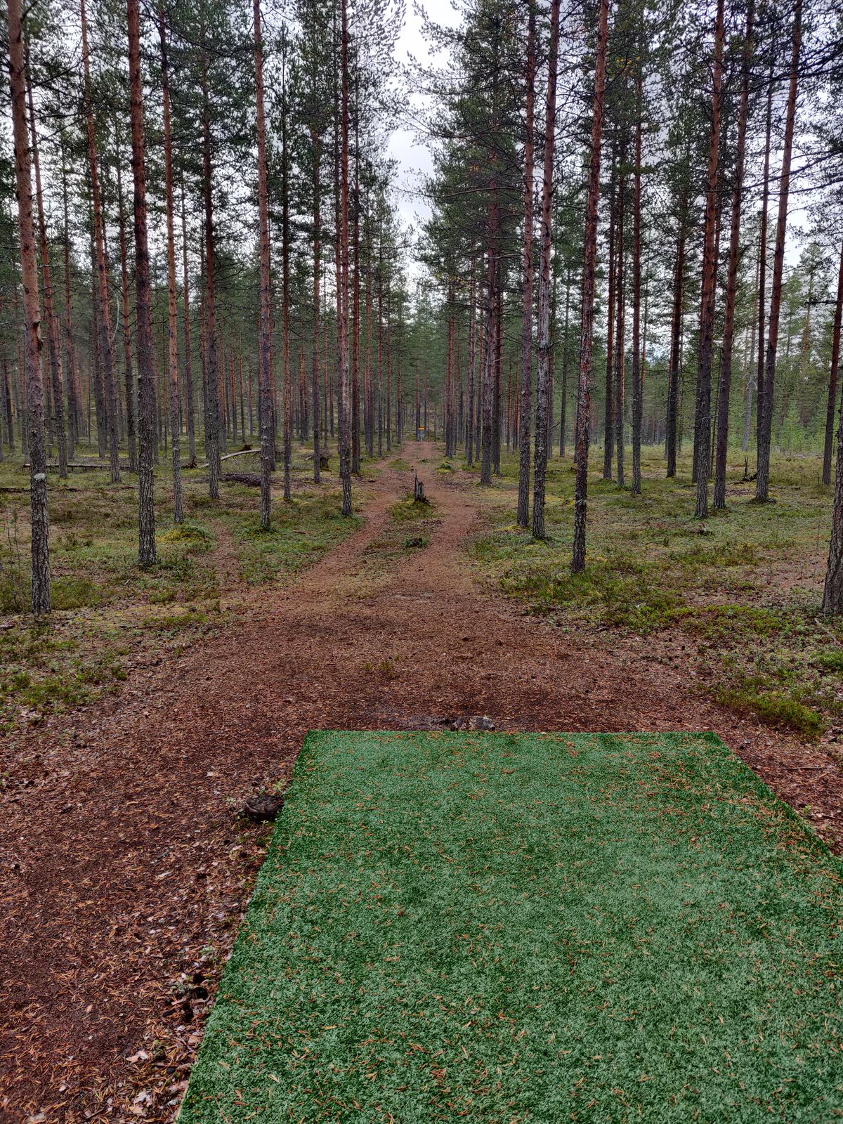 Suomussalmi Disc Golf Your Guide to Disc Golf in Suomussalmi, Finland