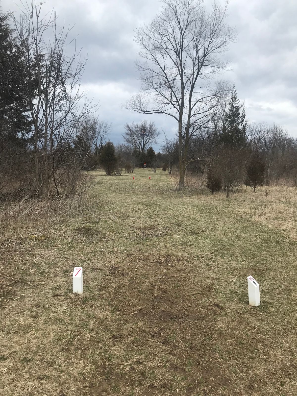 WL Community Disc Golf Course Whitmore Lake, Michigan UDisc Disc