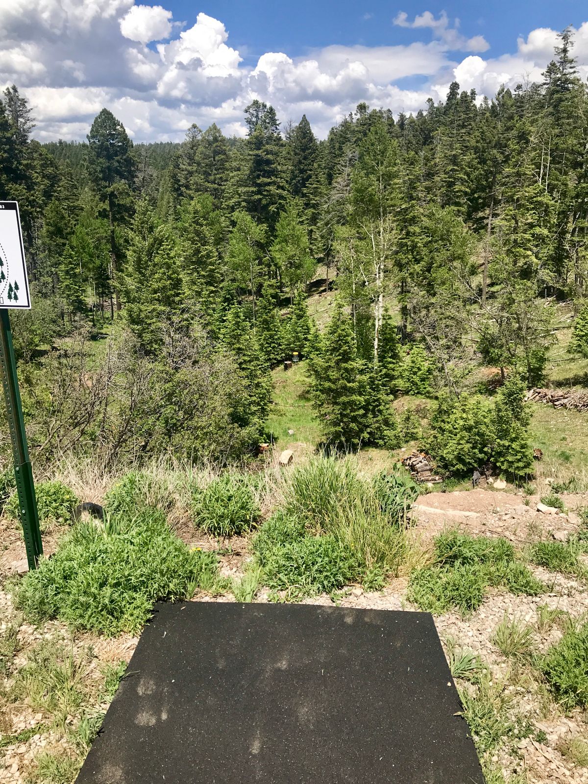 Cloudcroft Community DGC Cloudcroft, NM UDisc Disc Golf Course