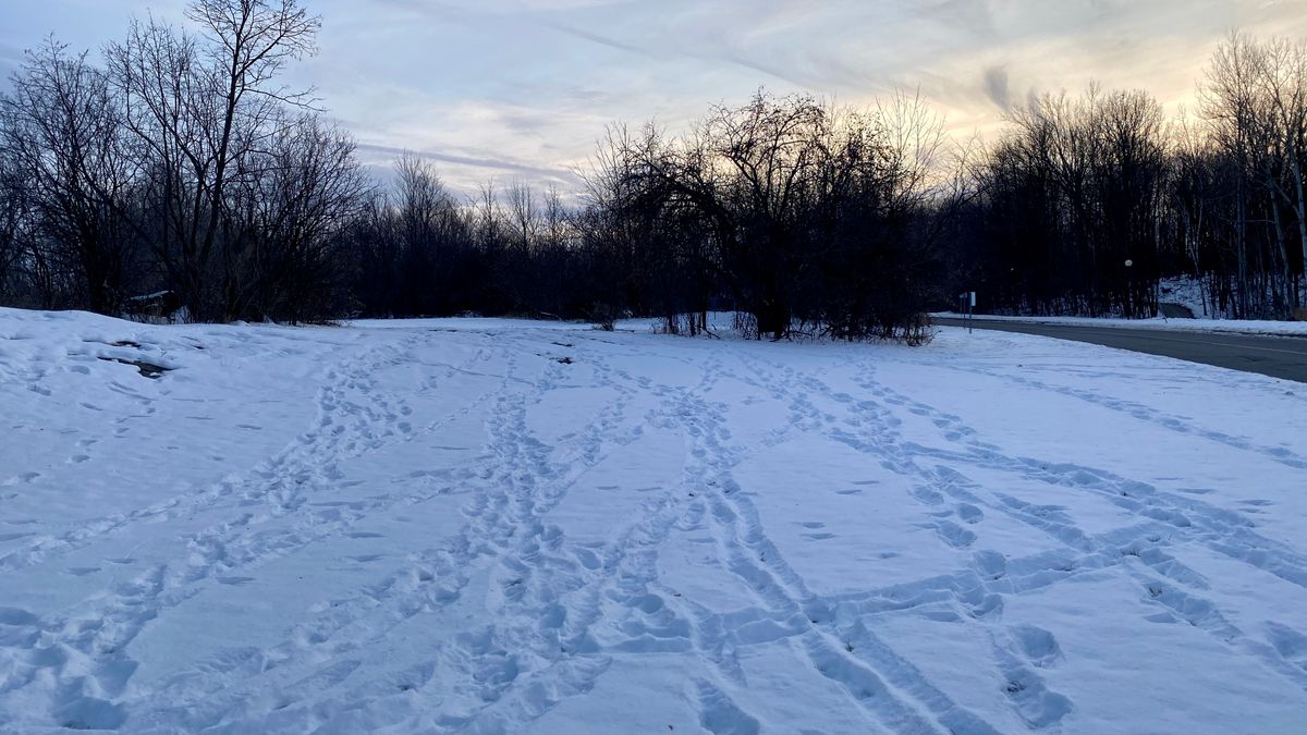 Ottawa Disc Golf Your Guide to Disc Golf in Ottawa, Canada UDisc