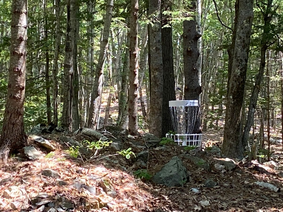 Blue Hill Disc Golf Your Guide to Disc Golf in Blue Hill, Maine UDisc