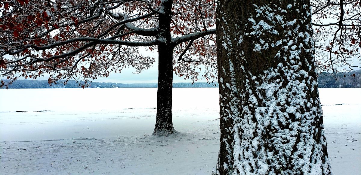 Midland Little Lake Midland, ON, Canada UDisc Disc Golf Course