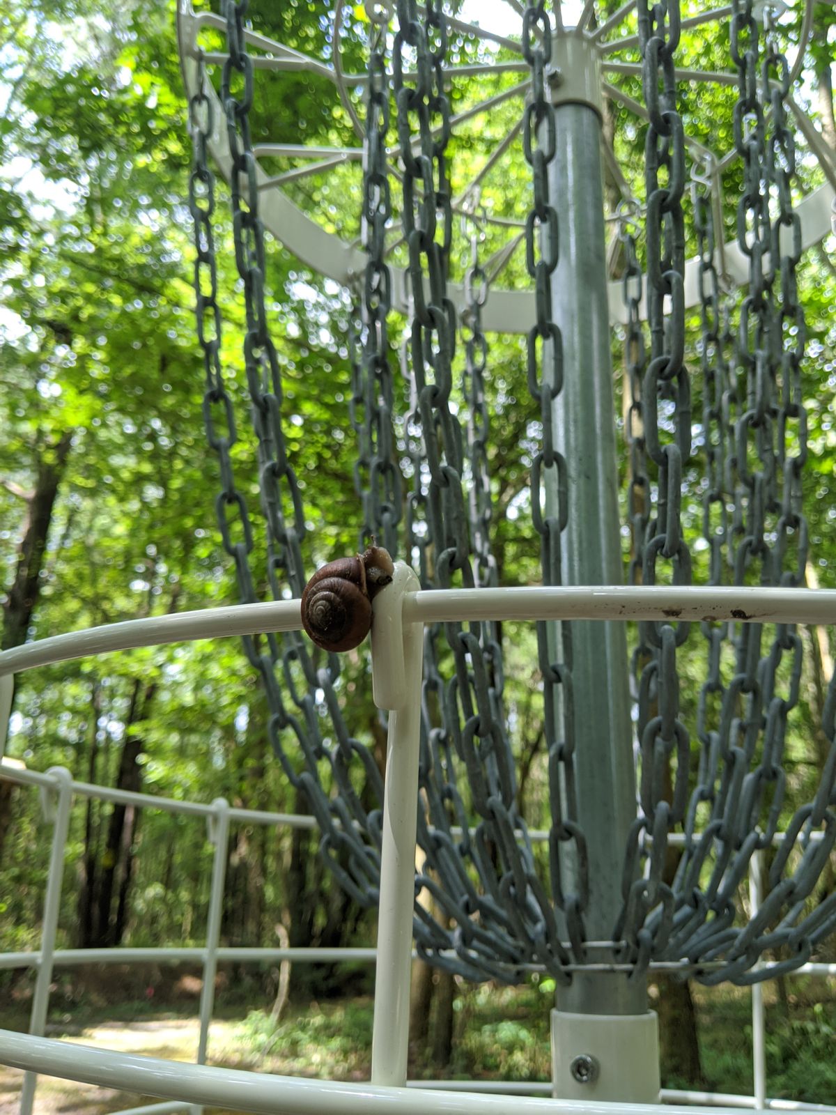 Rabbit Run (Course Is closed) - Parsonsburg, Maryland | UDisc Disc Golf ...