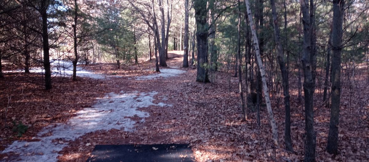 Liberty Park Wausau, WI UDisc Disc Golf Course Directory UDisc