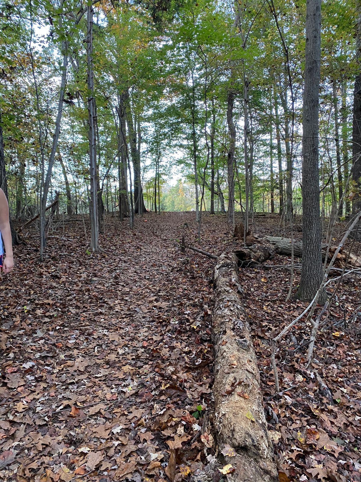 The Regulator at Rock Creek Burlington, NC UDisc Disc Golf Course