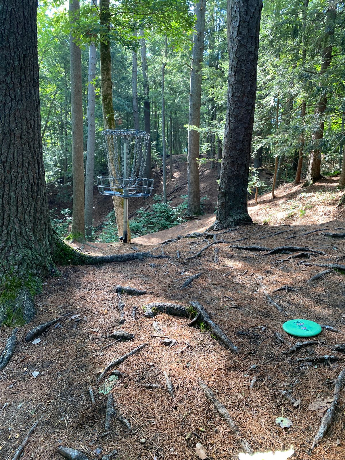 Crane Hill Wilbraham, MA UDisc Disc Golf Course Directory UDisc