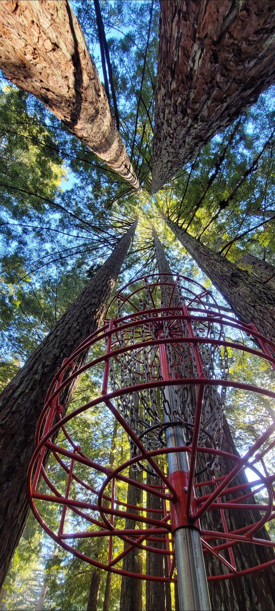Brooktrails Willits, CA UDisc Disc Golf Course Directory
