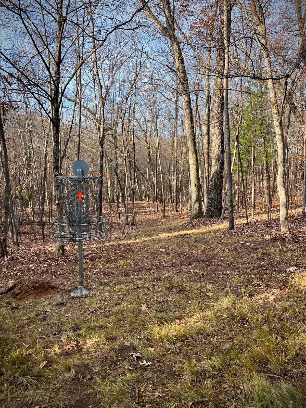 Tjiny Acres Siren, WI UDisc Disc Golf Course Directory