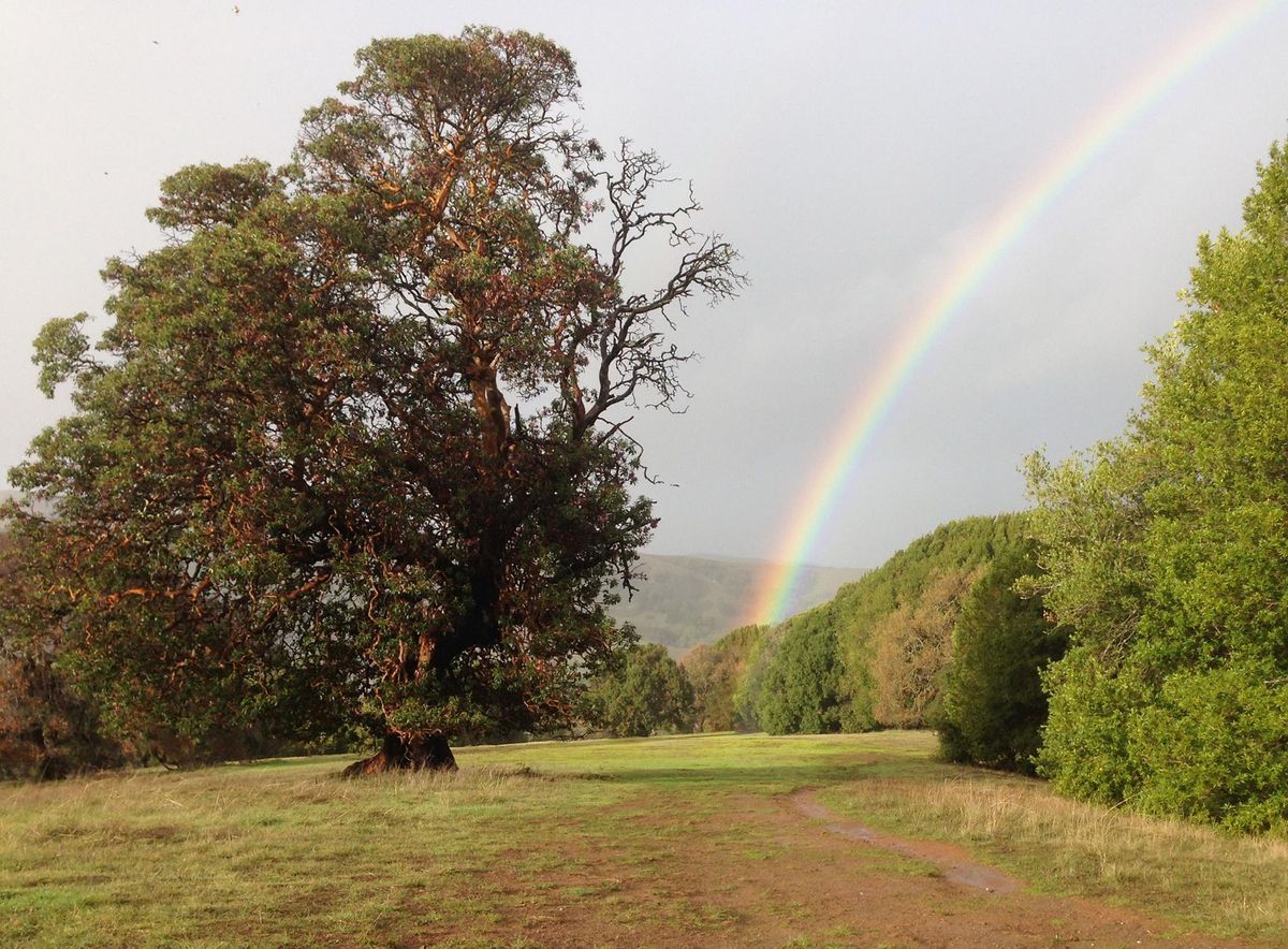 Stafford Lake County Park Novato CA UDisc Disc Golf Course 