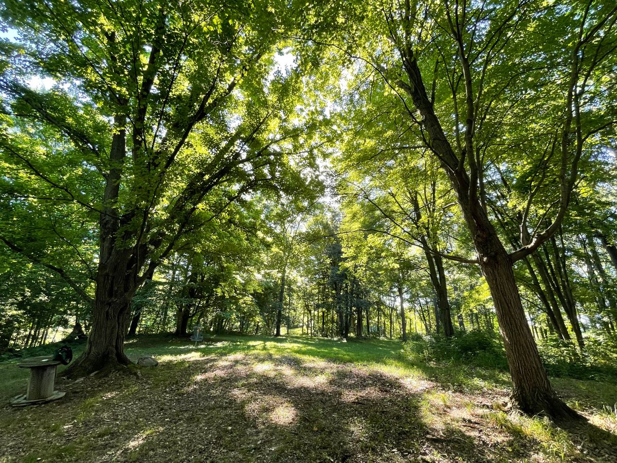 Boonies Disc Golf Course Akron, IN UDisc Disc Golf Course Directory