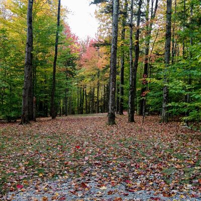 Smugglers’ Notch Disc Golf Center