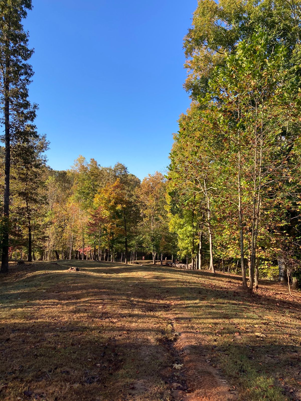Goliath Goode, VA UDisc Disc Golf Course Directory