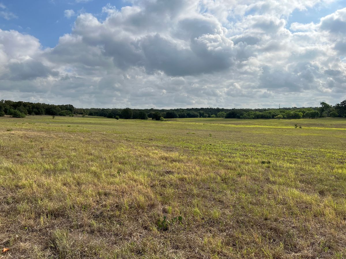 Turkey Ridge Disc Golf Complex - Seguin, TX | UDisc Disc Golf Course ...