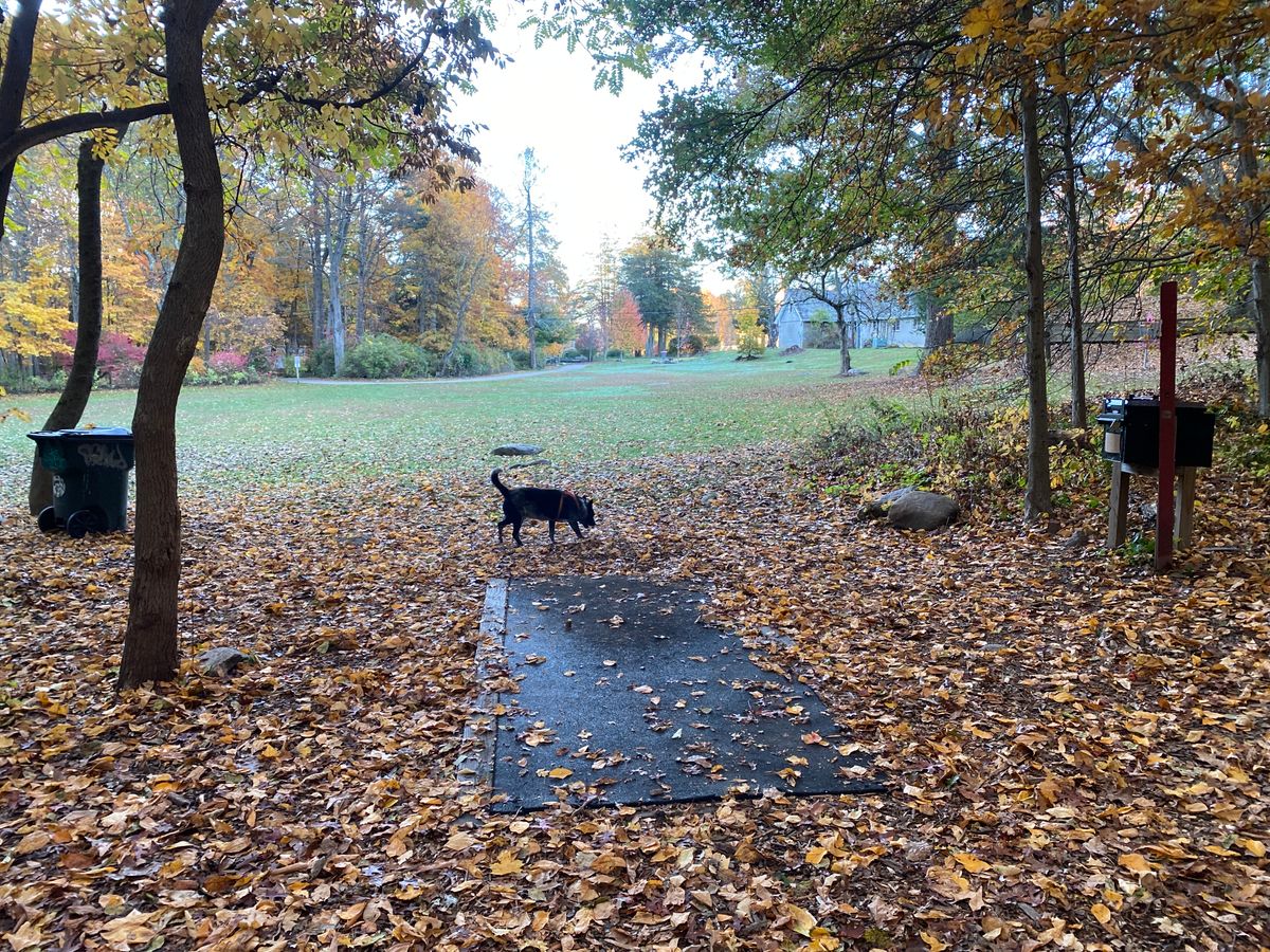 Cranbury Park DGC Norwalk, CT UDisc Disc Golf Course Directory UDisc