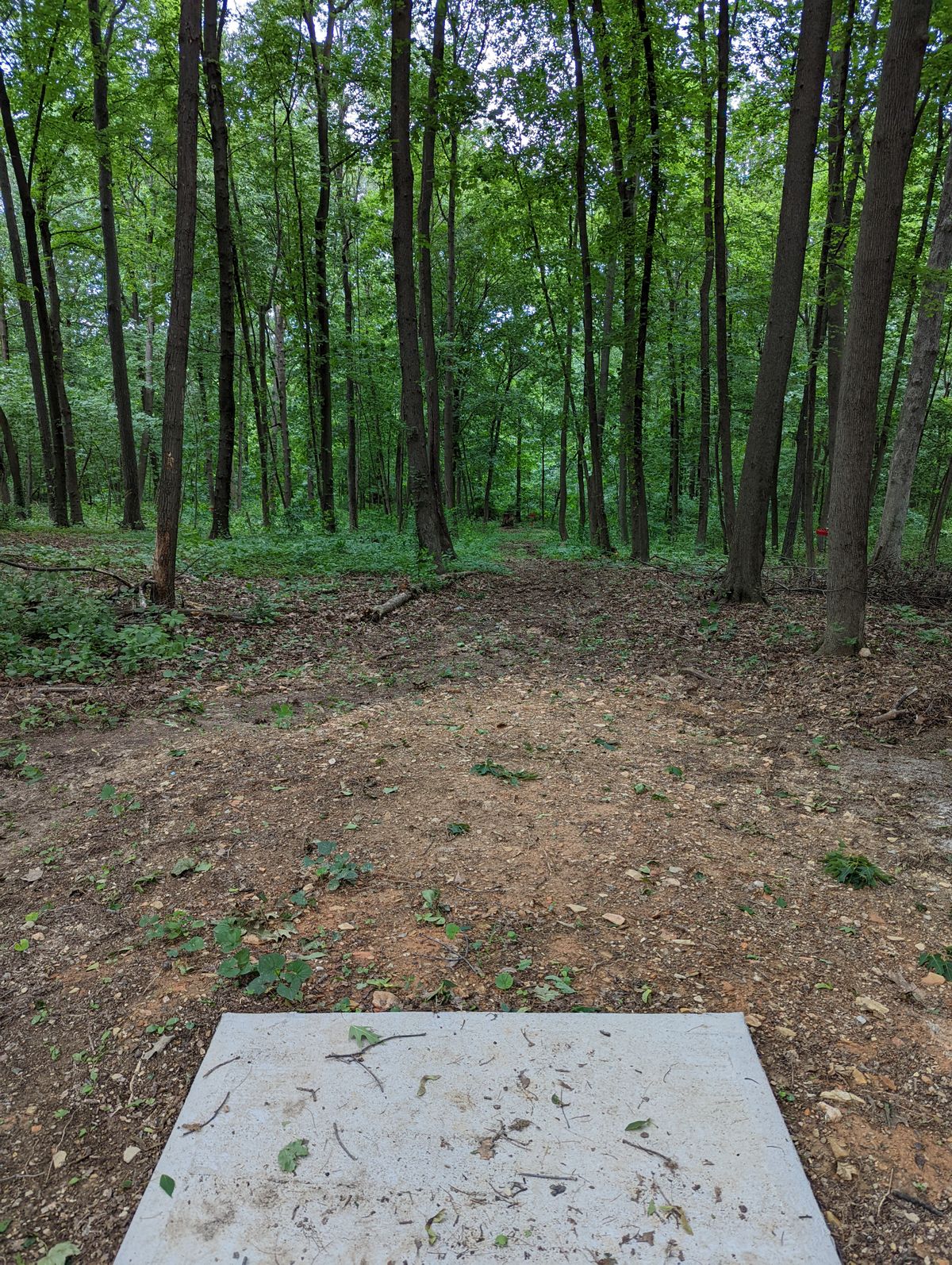 Penn Grove Retreat Course Reviews