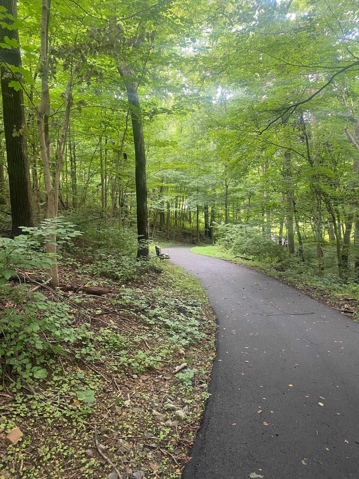 Earl Township Community Park Boyertown, PA UDisc Disc Golf Course