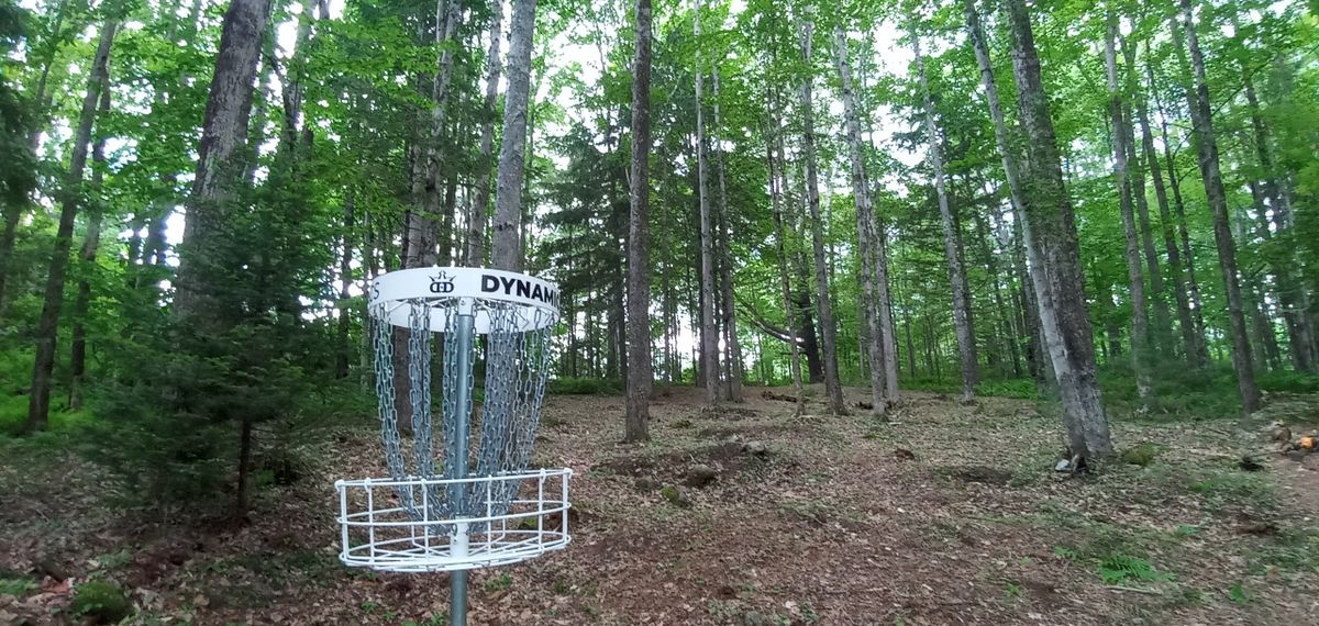 Ingleside Woods Disc Golf Course Winchendon MA UDisc Disc Golf