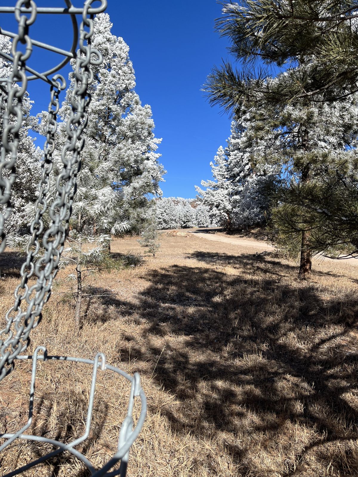 Beulah Valley Disc Golf Your Guide to Disc Golf in Beulah Valley