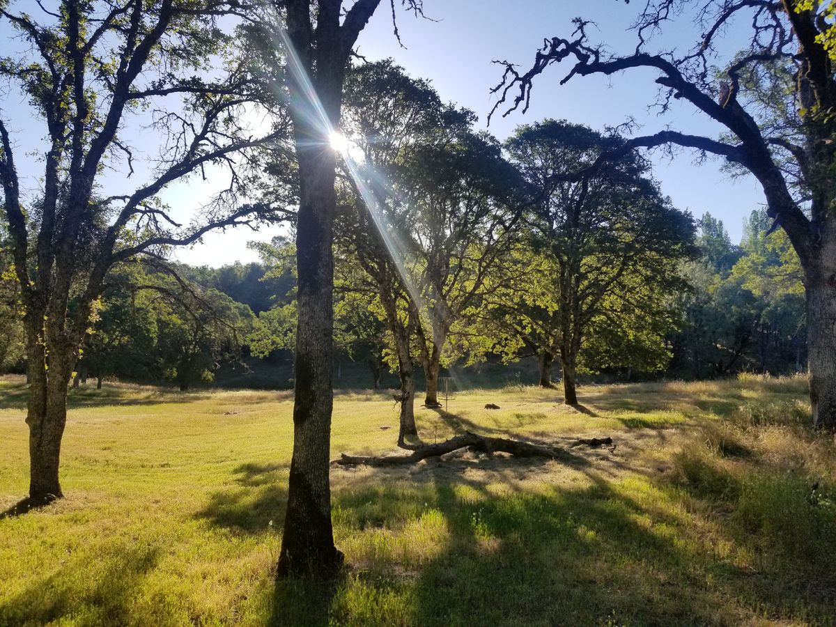 Lone Star Auburn, California UDisc Disc Golf Course Directory UDisc