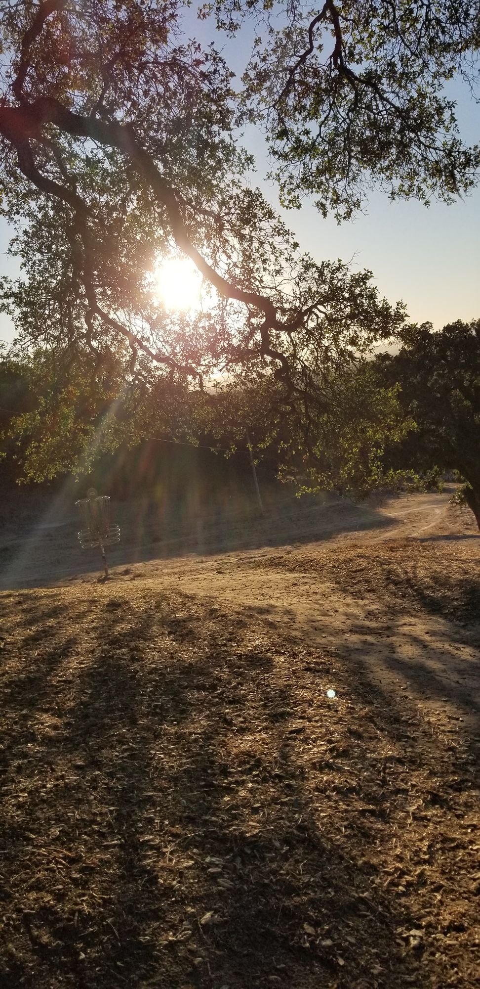 Woodleaf Disc Golf Your Guide to Disc Golf in Woodleaf, California