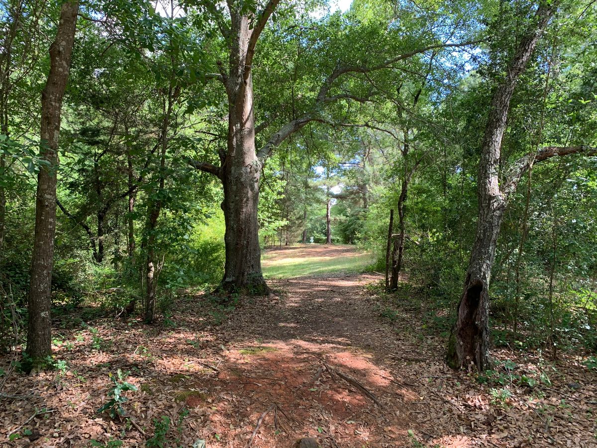Sandersville Disc Golf Your Guide to Disc Golf in Sandersville, UDisc