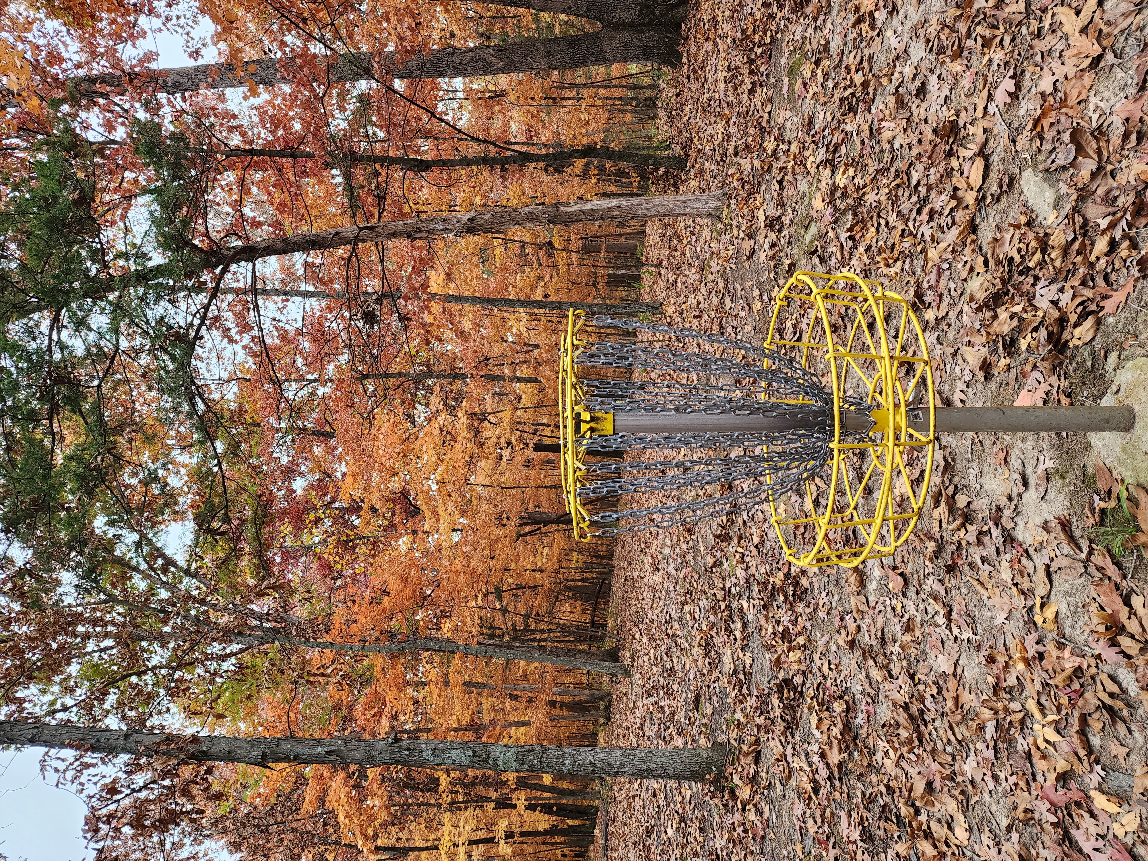 Holts Summit Greenway Park DGC - Holts Summit, Missouri | UDisc