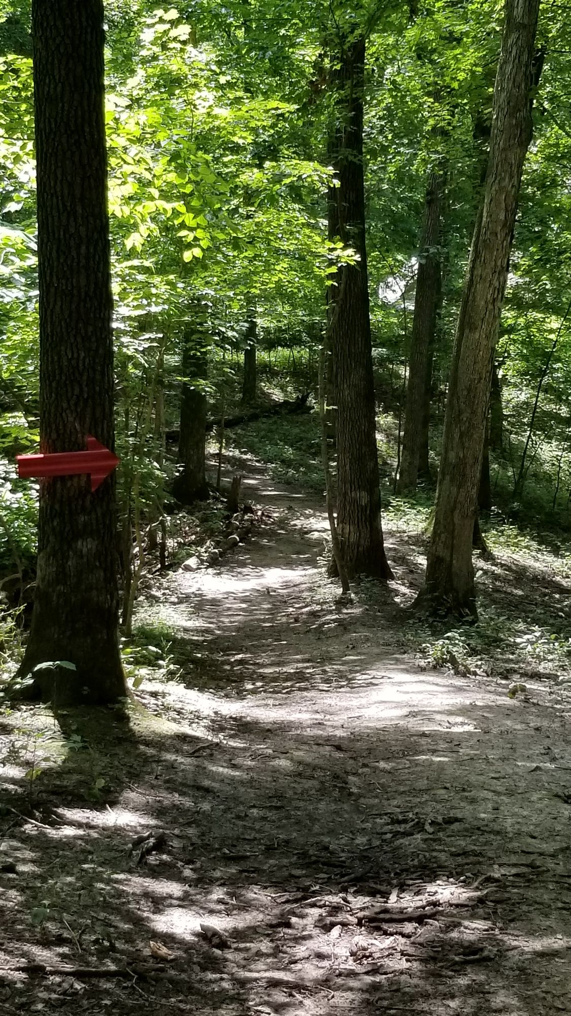 Pere Marquette Park Ste. Genevieve, MO UDisc Disc Golf Course Directory