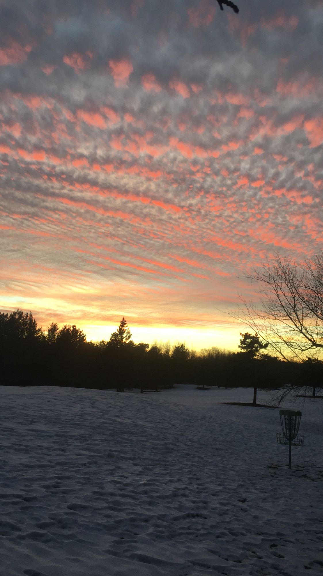 Enger Park Golf Course Duluth, MN UDisc Disc Golf Course Directory