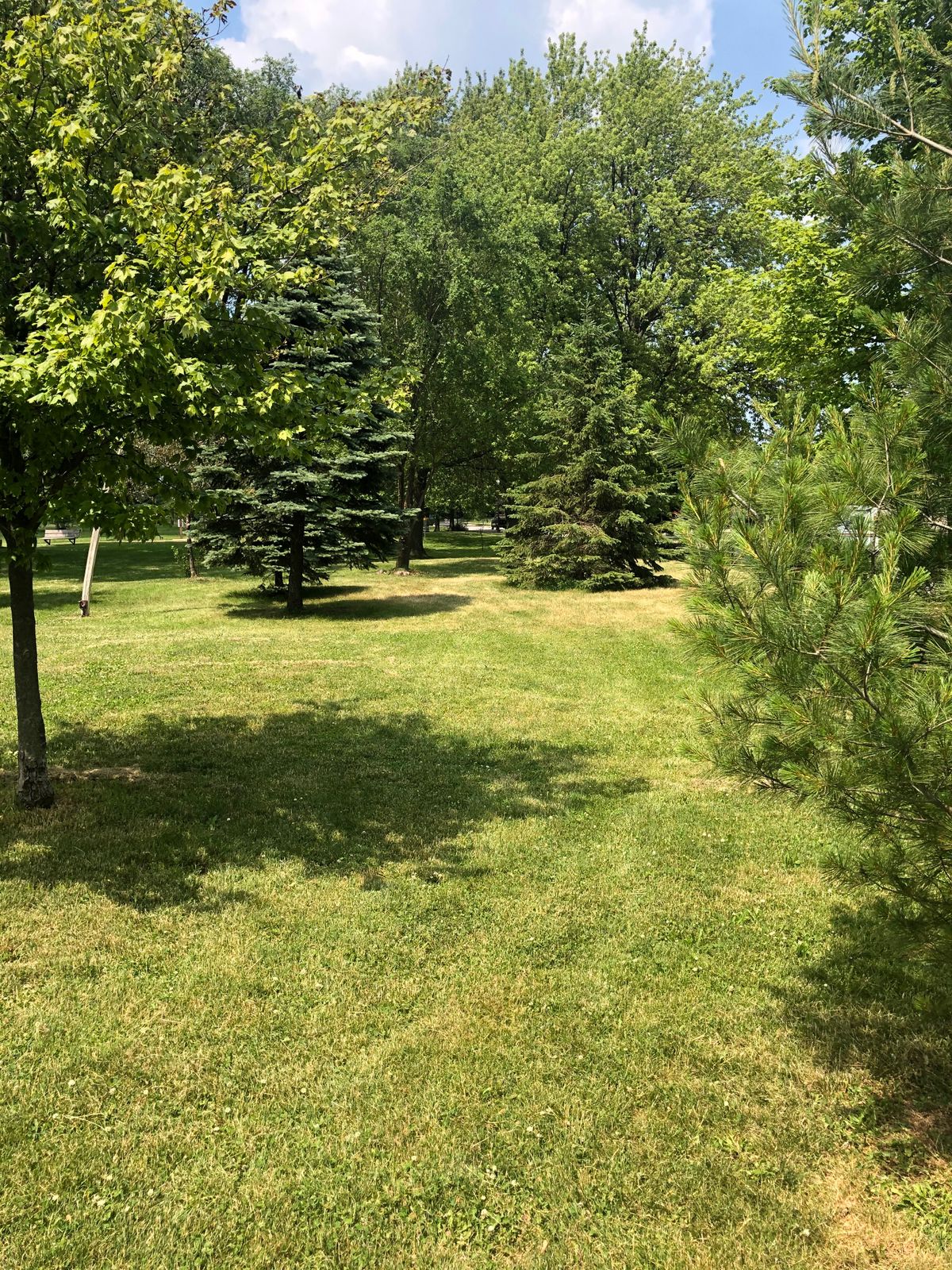 Forsythe Park Course Events