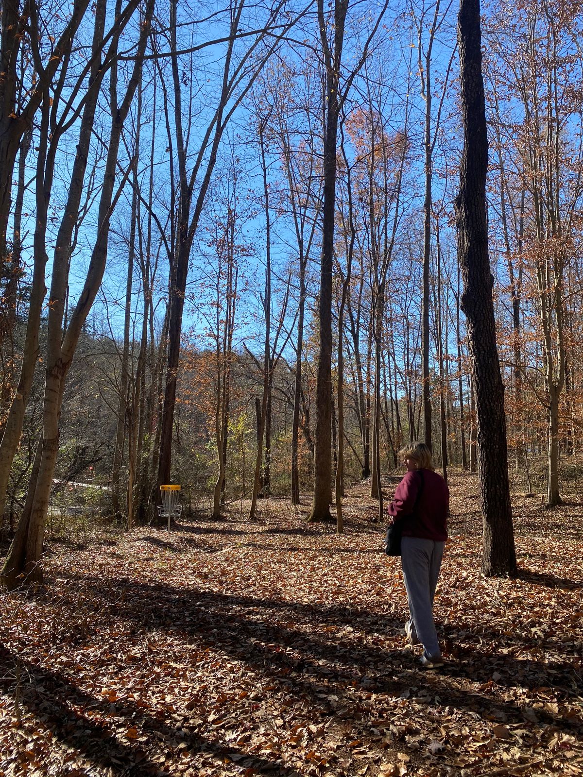 Farris Park Mayodan, NC UDisc Disc Golf Course Directory UDisc