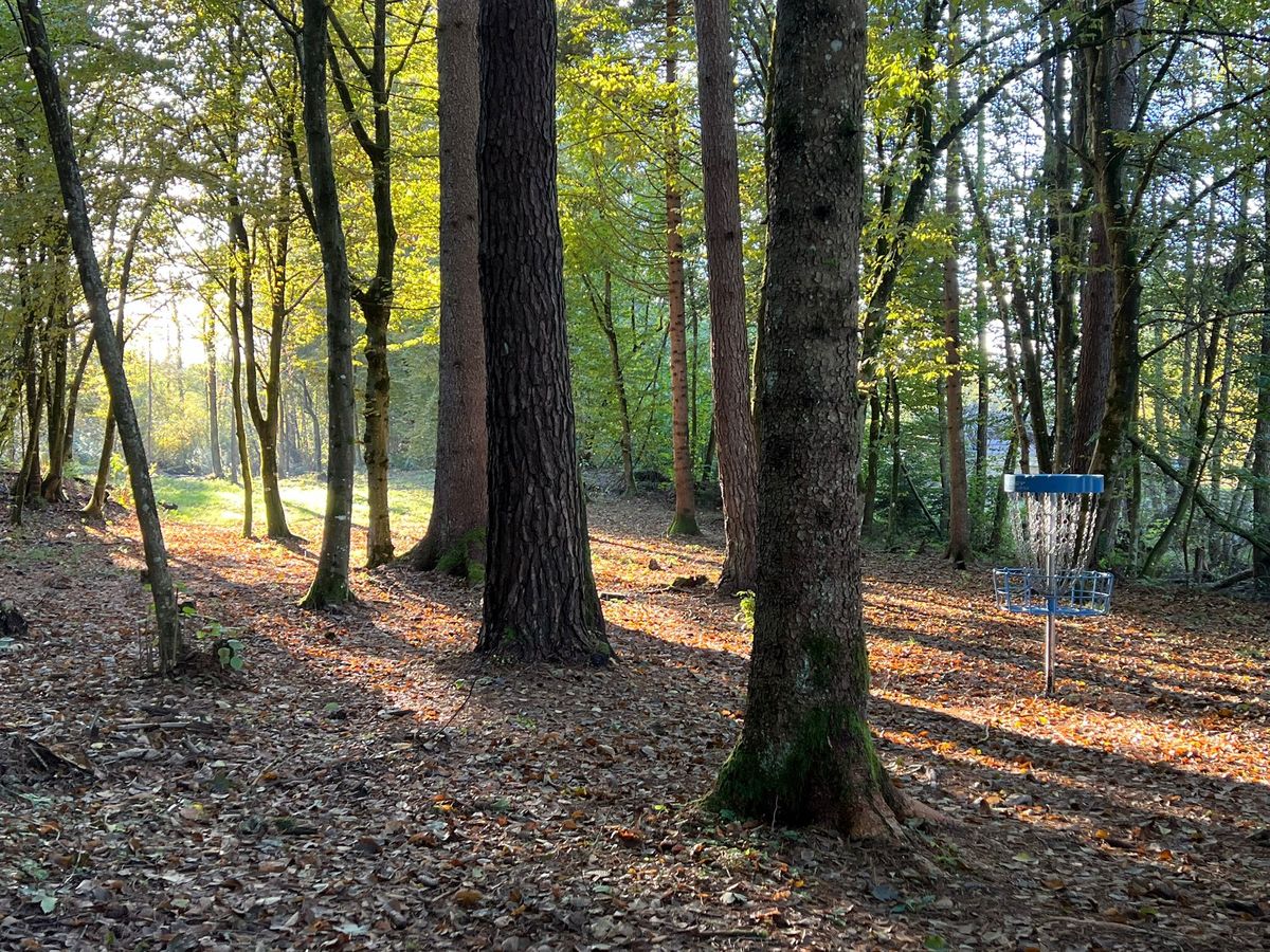 Yeet Woods Disc Golf Course Klagenfurt am Wörthersee, Austria UDisc