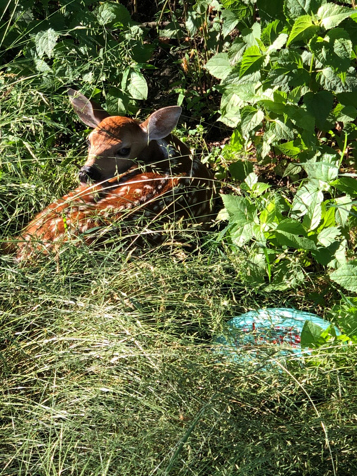 Hotel Hershey Hershey, PA UDisc Disc Golf Course Directory