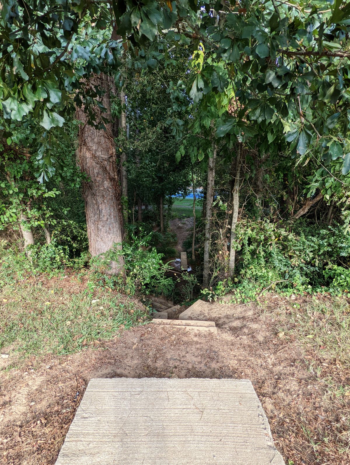 Dupree Park Woodstock, GA UDisc Disc Golf Course Directory